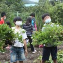 미원초교 금관분교 이미지