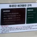푸르던 | [군산 카페] 잔디 정원이 예쁜 군산 카페 푸르던 방문후기, 메뉴 및 주차정보