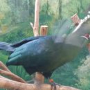 리빙스톤 이미지