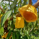 양화농장 이미지