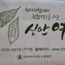 법인천사섬신안