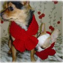 산이랑 바다 이미지