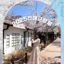 솔안공원(자율방범대) | 진해군항제 기본정보 축제 국내벚꽃명소 진해 벚꽃 개화시기