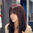 새라 이미지