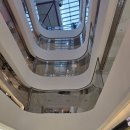 파크원 제주 | 더현대 서울 크리스마스｜사운즈 포레스트·이탈리안 레스토랑·오타마톤 팝업까지