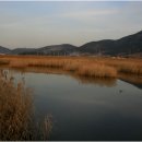 순천만숲