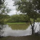 징검다리 이미지