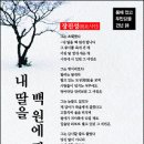 내동생 데일리안