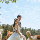 까사보니따 스튜디오 이미지