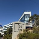 카페온더힐 | [부산 해운대구] 카페 온더힐 - 내돈내산 솔직후기