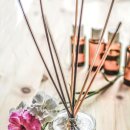 하니온 허브 이미지