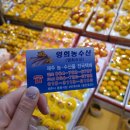 영희농수산 - 서귀포시 대포중앙로72번길 2-7 | 영희농수산