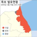 영동지역 기록적인 폭설 각종 사고가 속출 이미지