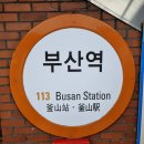 태진정비 | 25년 6월 3주차 일상