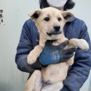 홀인원골프랜드 이미지