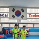 서울영서초등학교 | 영서초태권도 아이와 함께하는 태권도 수업 후기