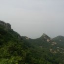 보시기 이미지
