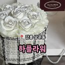 하플라워 | 강릉 남문동 특별한 명품 꽃다발 비누꽃 선물 '하플라워'