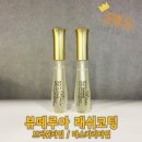 퀸즈메디코스 이미지