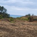 제주스타공인중개사사무소 이미지