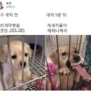 새동촌식당 네이버블로그