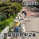 꿀참나무숲 유치원 | 초등학교 병설유치원 숲체험 학교숲 탐험