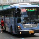 남호그린아파트앞 이미지