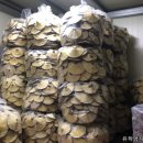 영지2농장 이미지