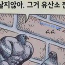 북해어장왕코다리 이미지