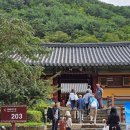 (주)웰니스팜 이미지