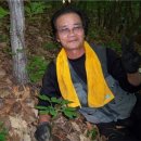 푸르른삶의노래 이미지