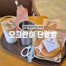 오그란이단팥빵 | [영월] 단종유배지 청령포 근처 단팥빵 맛집 내돈내산 영월 카페 : 오그란이 단팥빵