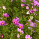 대구수지 이미지