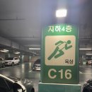 제이타워 | 2026 Live A&amp;E 박효신 콘서트 첫콘 후기(주차, 문학경기장 2층 E16구역 시야,준비물)