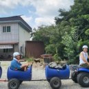 월류봉 한천민박 이미지