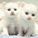 간석1동-25 이미지