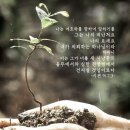 하루 말씀과기도 2024년7월13일(토) 이미지