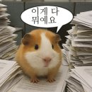 요기초장집어때