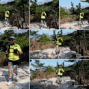 2020 트레일러닝 대회 오들로 북한산둘레길 65K 28km종목 트레일런 후기