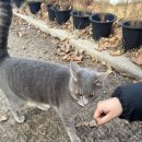 슬로우위켄드 이미지