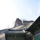 하모신진오토바이센타 | 서울 종로ㅡ창신동ㅡ서민내음 물씬한 골목은 봉제메카. 아슬아슬한 절벽마을이…