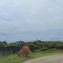 윤혜리정신건강의학과의원 이미지