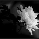 적금로4 이미지