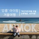 에이엠호텔(AM HOTEL) | [강원도 강릉 아이랑 겨울 여행] 파인아트라벨호텔 찐후기 / 안목해변 / 에이엠브레드앤커피