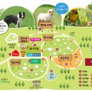 성인목장 이미지