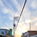 청년부대찌개닭갈비보성점 이미지