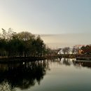 초전공원 수중분수 이미지