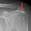 일산마두정형외과의원 이미지