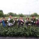 진천 아이뉴스24