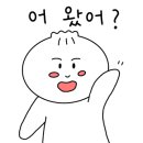 막둥이횟집